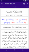 Maarif ul Quran screenshot 7