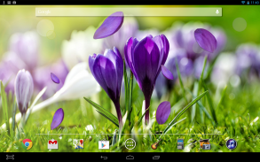 Spring Live Wallpaper screenshot 2