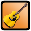 Acoustic Guitar