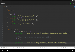 Rust Programming Compiler screenshot 2