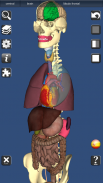 3D Bones and Organs (Anatomy) screenshot 1