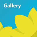 Gallery Icon