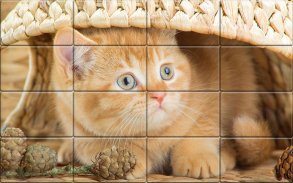 Tile Puzzles - Cats screenshot 2
