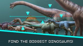 Dinosaur Master: facts & games screenshot 7