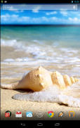 Magic Touch: Sea Shell Live Wallpaper screenshot 2