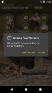 Guineafowl Sounds & Calls screenshot 4