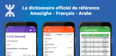 Official Tamazight Dictionary+ screenshot 7