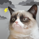 Grumpy Cat Météo Icon