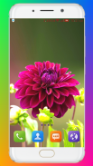 Flower Wallpaper HD screenshot 15