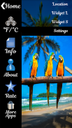 Exotic Birds Weather Clock screenshot 6