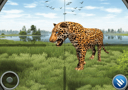 Állat vadászat Játékok screenshot 7