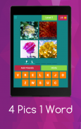 4 Pics 1 Word screenshot 6