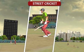 MSD: World Cricket Bash screenshot 4