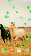 живые обои лошади screenshot 6