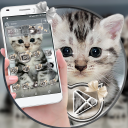Cute Cat Launcher Theme Icon