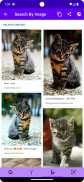 Search By Image screenshot 4