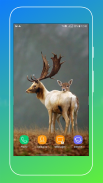 Deer Wallpapers screenshot 0