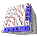 Word Search Cubes