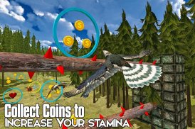 Eagle Racing Simulator: Birds Race Game screenshot 9