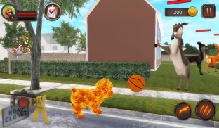 Teddy Dog Simulator screenshot 2