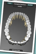 Real Tooth Morphology Free screenshot 2