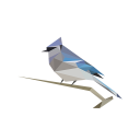 BirdNET: Identificação de sons de aves
