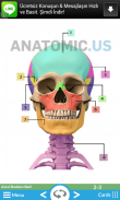 Cartões Flash Anatomia screenshot 0