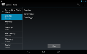 Cebuano Basic Phrases screenshot 7