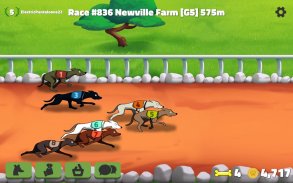 Hounds of Fury: Greyhound Race screenshot 11