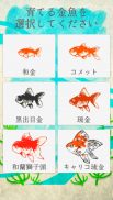 癒しの金魚育成ゲーム screenshot 0