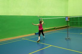 Badminton Court Training screenshot 2