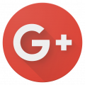 google icon