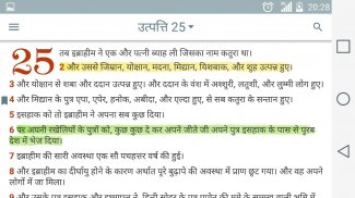 Hindi Bible Offline screenshot 0