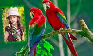 Parrot Photo Frames HD screenshot 0