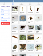 Freshwater Macroinvertebrates screenshot 4