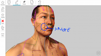 Visual Acupuncture 3D screenshot 8