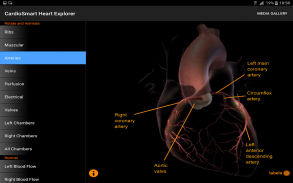 CardioSmart Heart Explorer screenshot 7