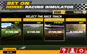 Bet on Horse: Racing Simulator screenshot 3