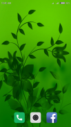 Green Wallpaper HD screenshot 1