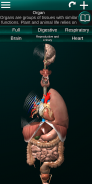 Internal Organs in 3D (Anatomy) screenshot 18