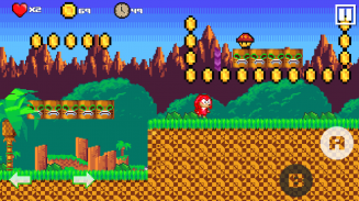 Classic Echidna screenshot 2