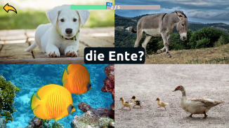 Learn Animals in German screenshot 5