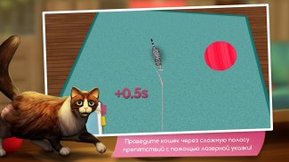 CatHotel - Мой приют для кошек screenshot 6