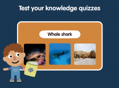 Learn Ocean Animals for kids screenshot 16