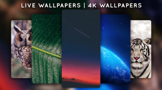 Live Wallpapers - 4K Wallpapers screenshot 1