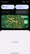 Quran French - Arabic in Audio screenshot 2