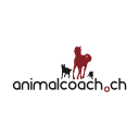 Dog School Animalcoach.ch ZH
