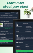Plant identifier screenshot 10