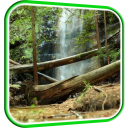 Waterfall in Forest LWP