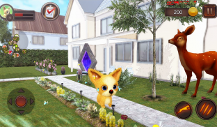 Chihuahua Dog Simulator screenshot 13